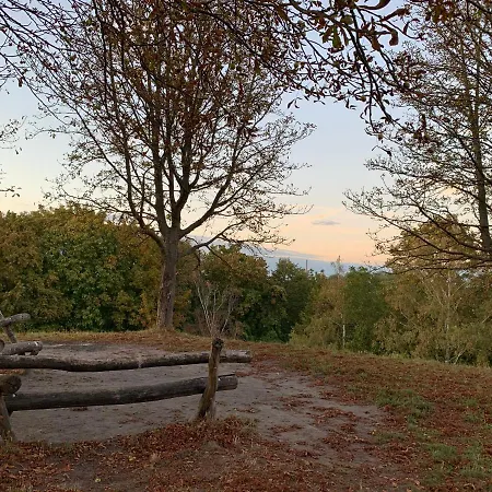 Einzigartiges In Toller Altstadt By Rabe - Smart-tv, Netflix, Innenhof Apartamento Karlsruhe